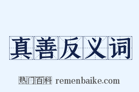 真善反义词是什么意思的图片